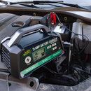 Battery Tender 12V 15A/8A/2A Selectable Charger for Auto, ATV, Marine, and Motorcycle Batteries-2