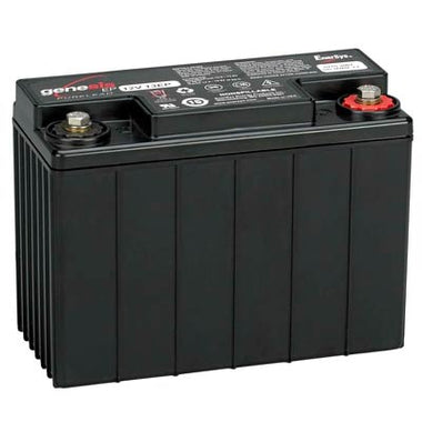 Genesis 12V 13AH AGM EP Series Sealed Lead Acid (SLA) Battery with M6 Terminals
