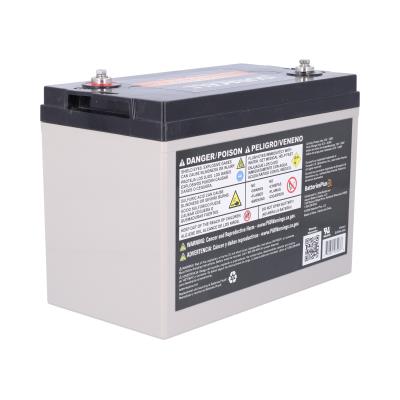 Duracell Ultra 6V 200AH General Purpose AGM Sealed Lead Acid (SLA) Battery with M6 Insert Terminals